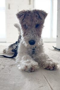 Oskar